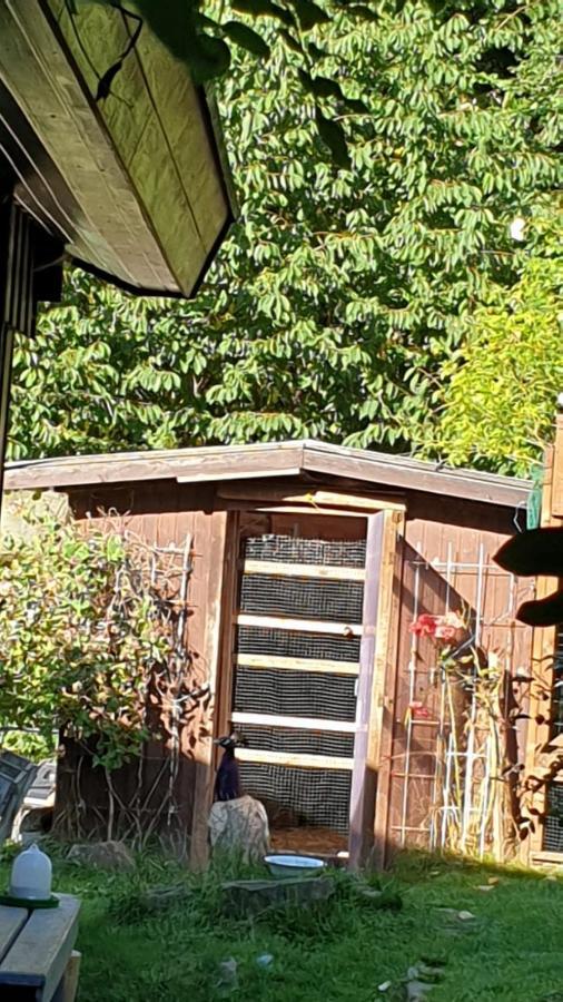 Ferienhaus Nr. 60 Im Ferienpark Am Twistesee Bad Arolsen Exterior foto