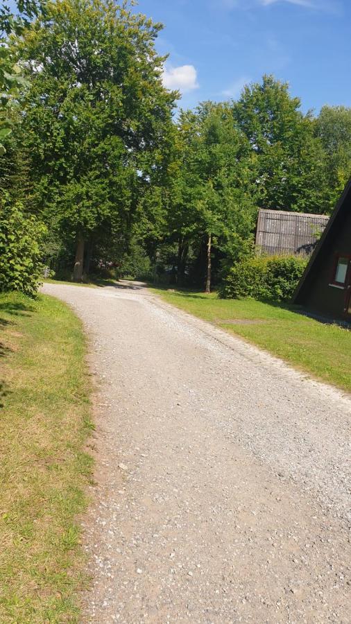 Ferienhaus Nr. 60 Im Ferienpark Am Twistesee Bad Arolsen Exterior foto